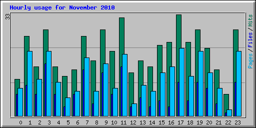Hourly usage for November 2010