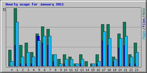 Hourly usage for January 2011